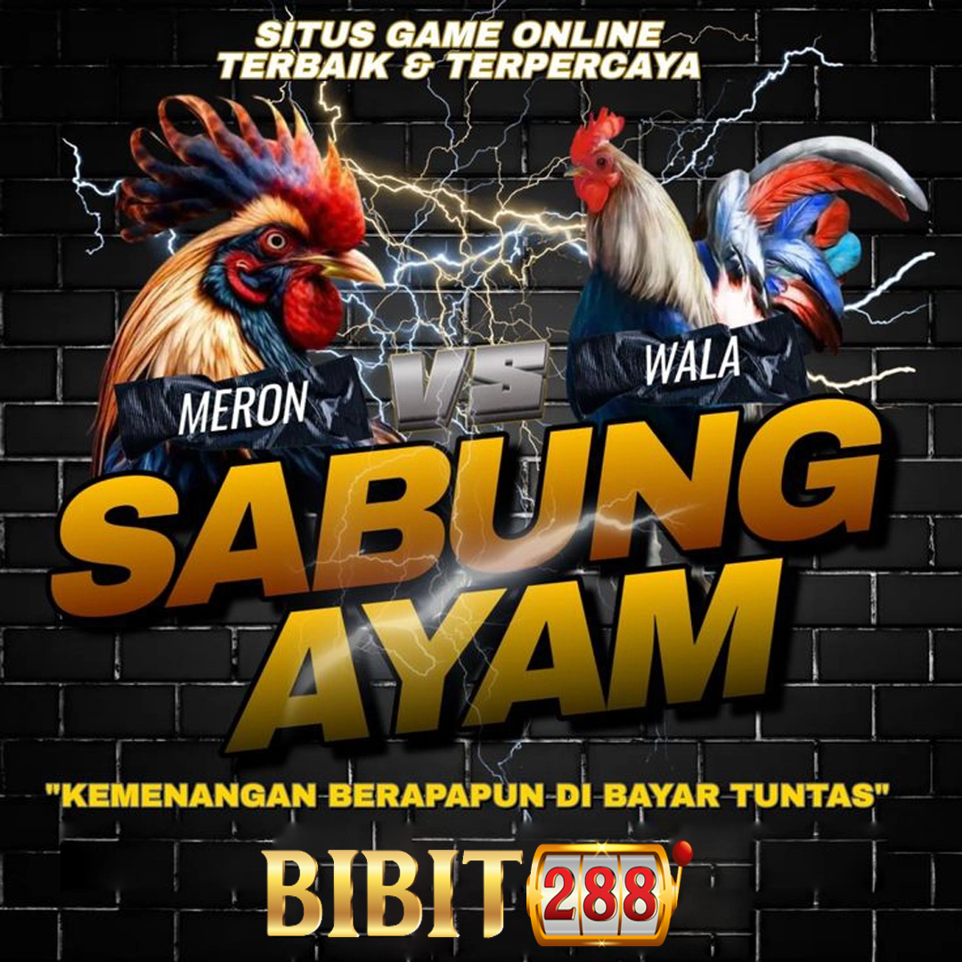 SABUNG AYAM : Rekomendasi Situs Taruhan Sabung Ayam Online SV388 & WS168 Terbaik 2025